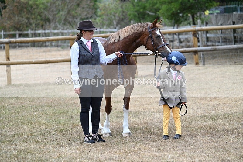 WJ7_8088 - Class 4 Prettiest Mare up to 14.2hh