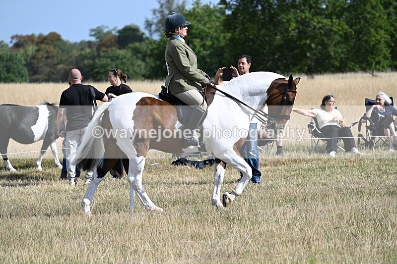 WJ7_2685 - Class 8 Ridden Tack & Turnout