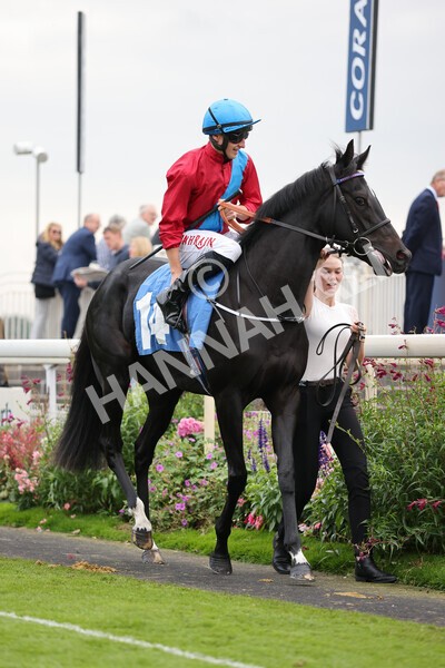 yr09102021r5-10 - Race 5 3.50pm Coral ebfstallions.com Novice Stakes