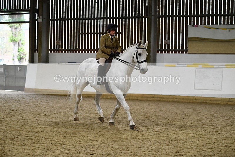 WJ5_9034 - Class 15 Ridden Show Horse