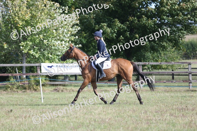 20250831-0877 - Class 14 - Ex Racehorse