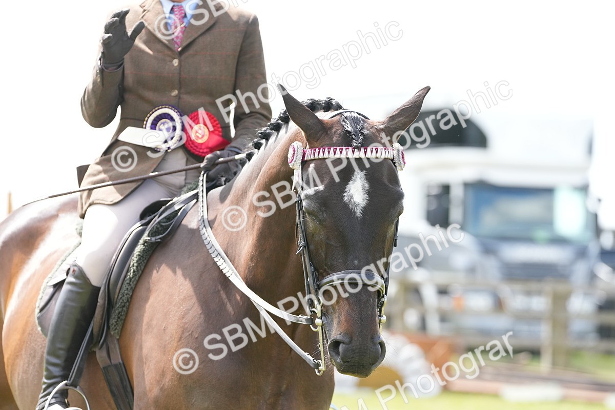 SBM_16270 - Class 105-106 - RIHS Riding Horses