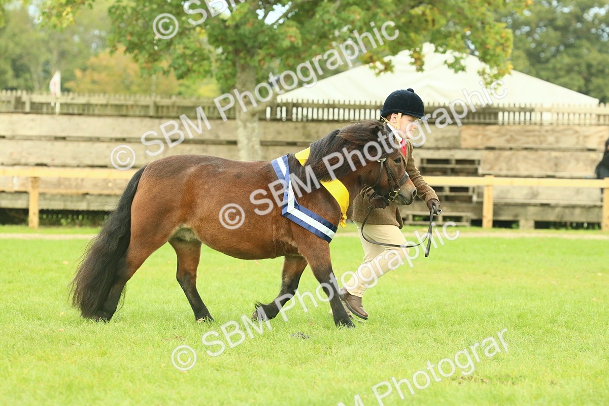 SBM_75230 - Super Supreme Championship