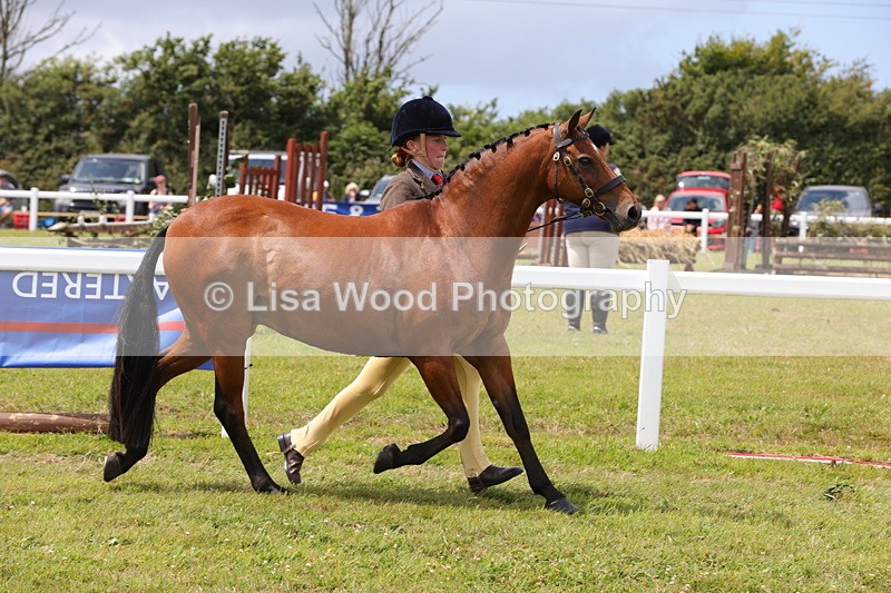 1X9A4726 - Class 35: Veteran In Hand