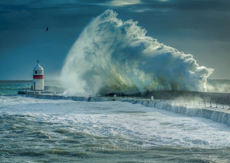 Sunshine after the Storm - Sea of Man