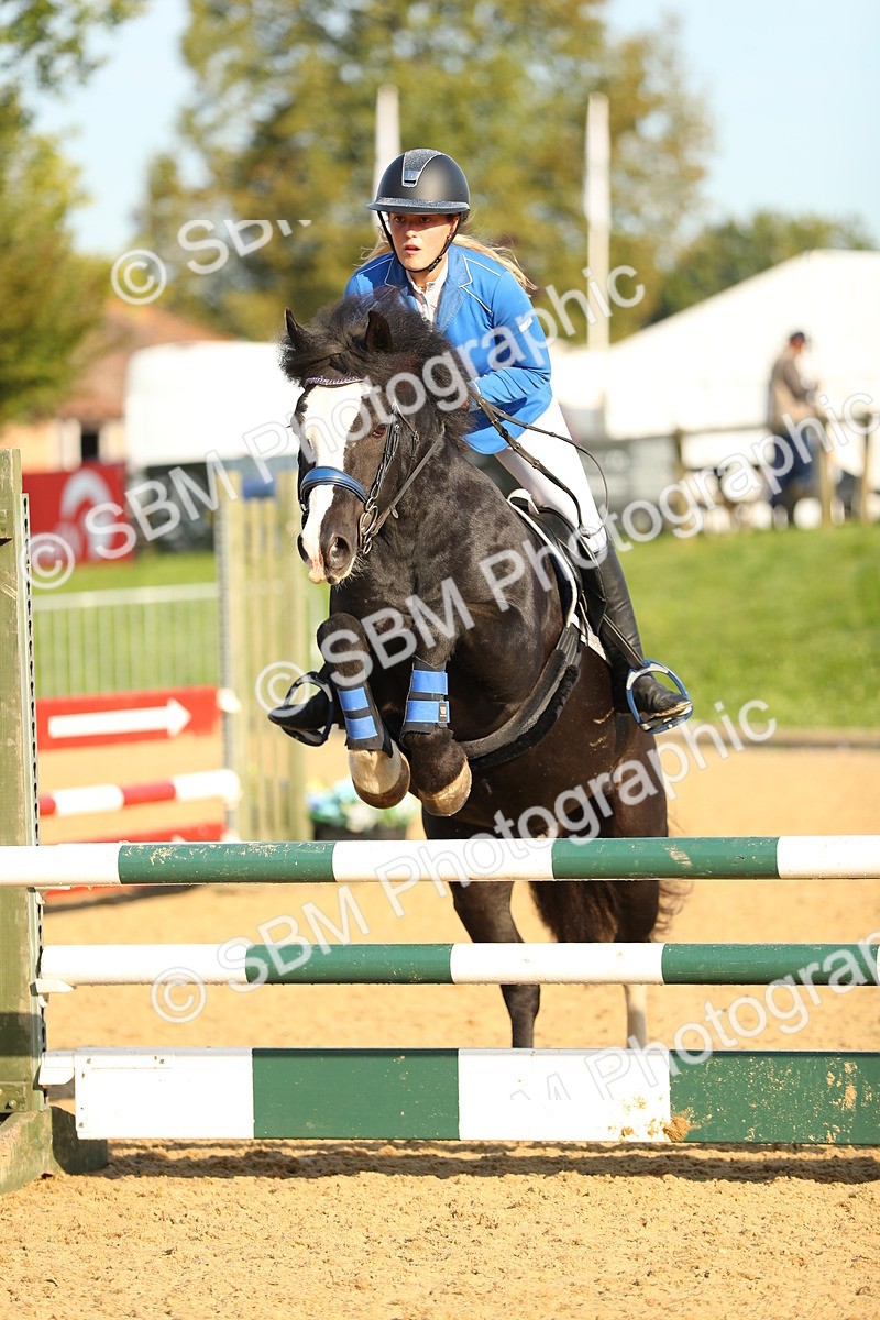 SBM_60175 - J41 - Grand Tour 95cm Championship