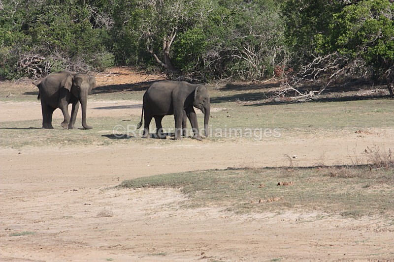  - Travel and culture