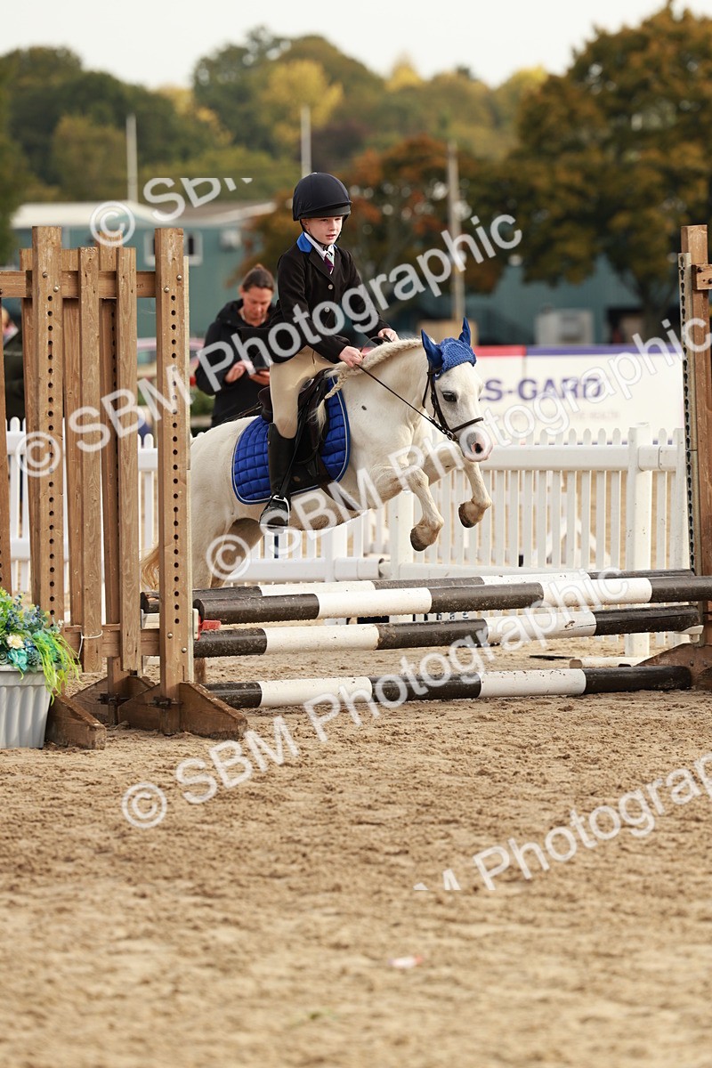 SBM_55736 - J11 - Junior Pony 50cm Championship