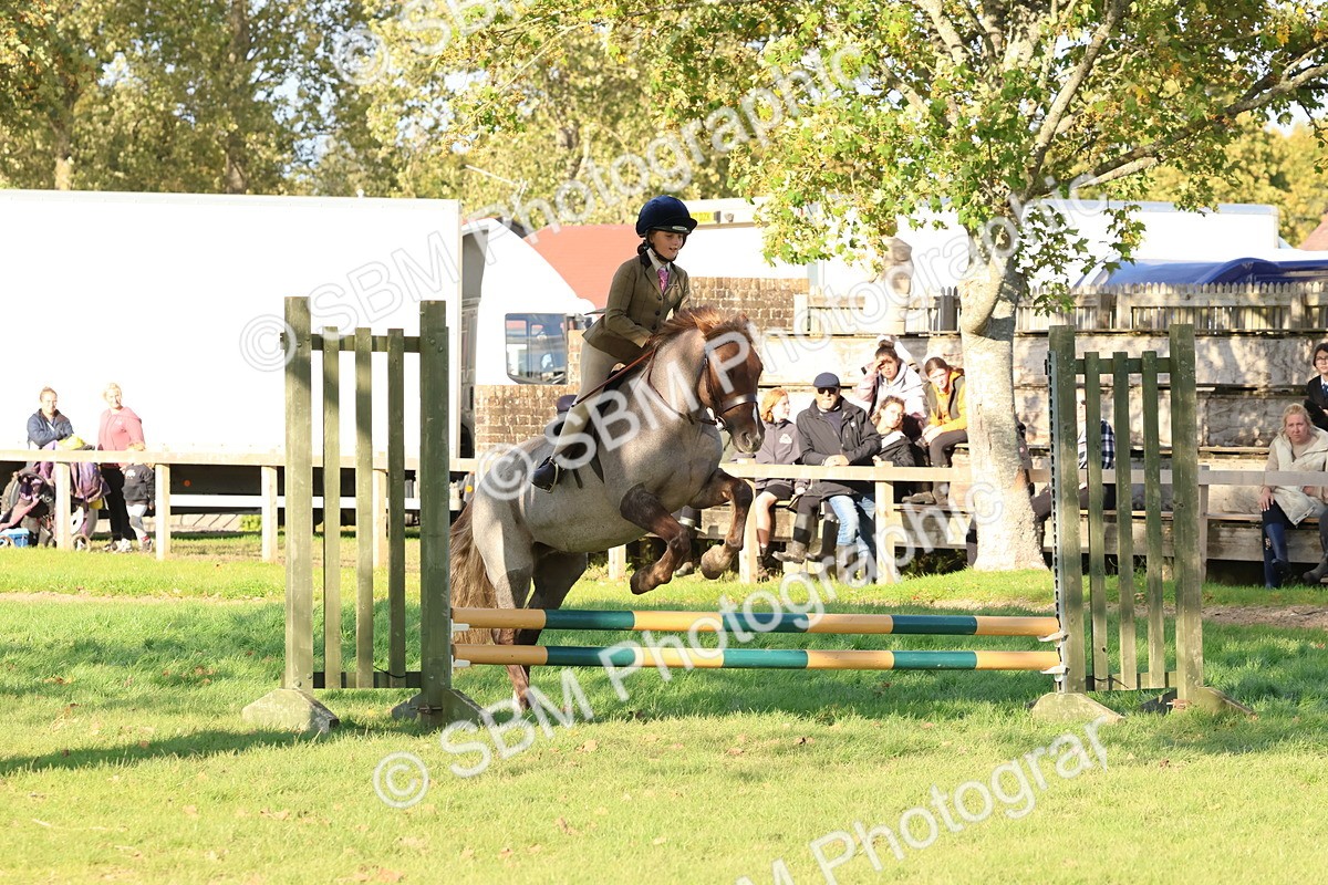 SBM_52641 - S13 - Pony Club Pony