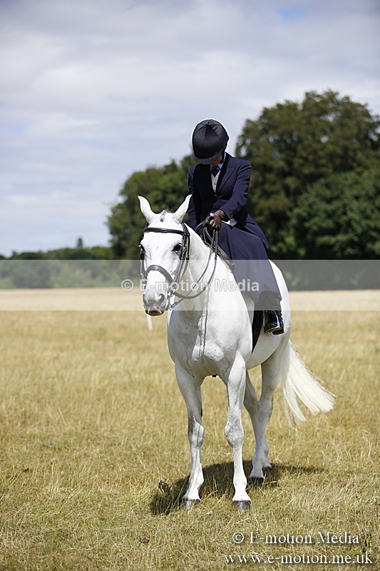 _C7A0253 - Side Saddle Classes BVRC Show 2018