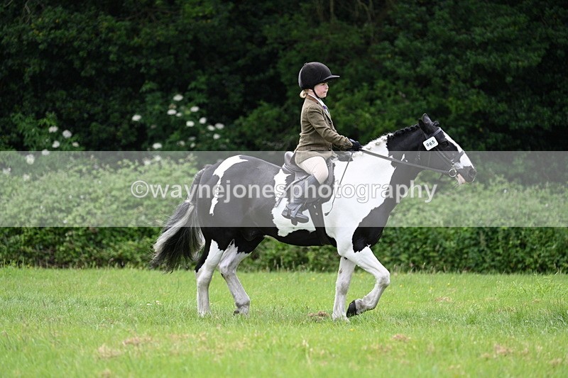 WJ7_2385 - Class 12A Coloured Class