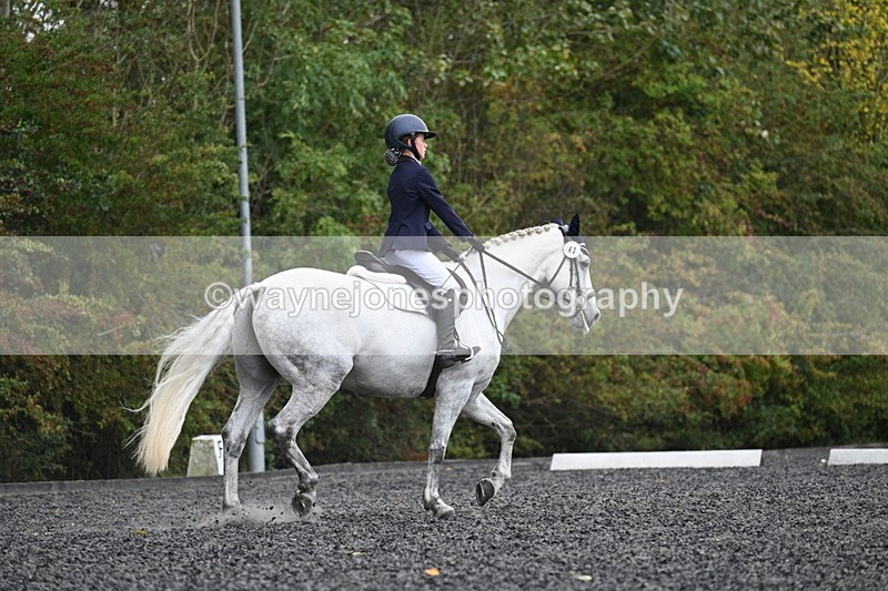 WJ7_6593 - Time 14:49 to 15:14