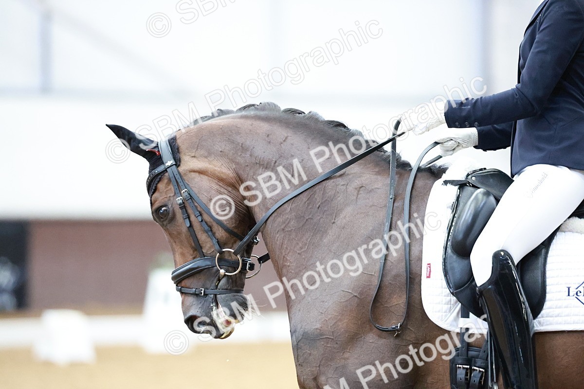 SBM_017823 - Class 15 - FEI Junior