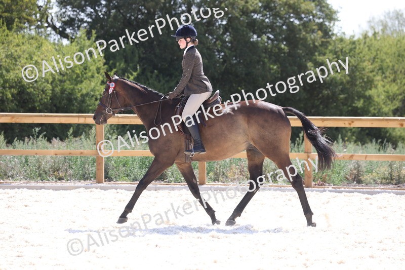 20260802-0756 - Class 8 - Best Riding Horse or Pony