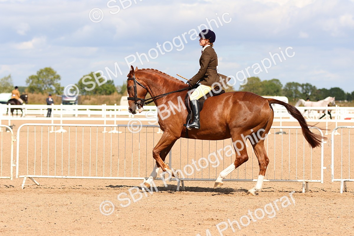 SBM_13495 - Class 212 - Ridden Hunter  - Large