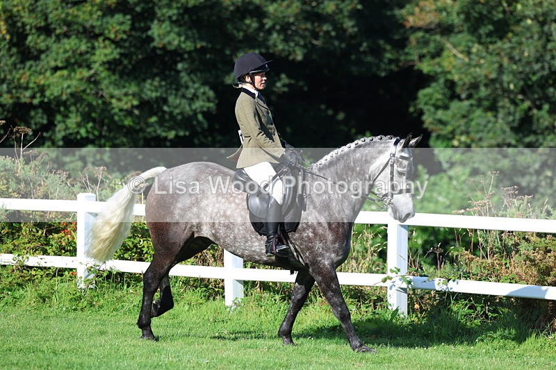 3E7A7579 - Class 1: Novice Working Hunter Pony