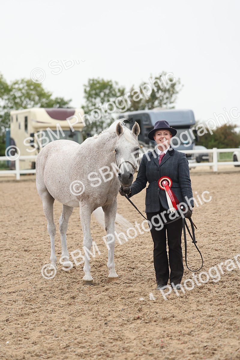 SBM_19437 - Class 317 - IH Pure Bred Horse-Pony