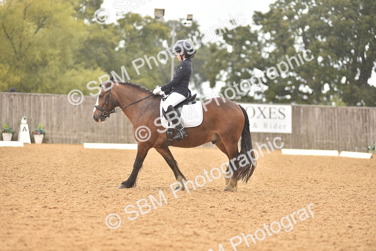SBM_42511 - D22 - Junior Championship Intro 3