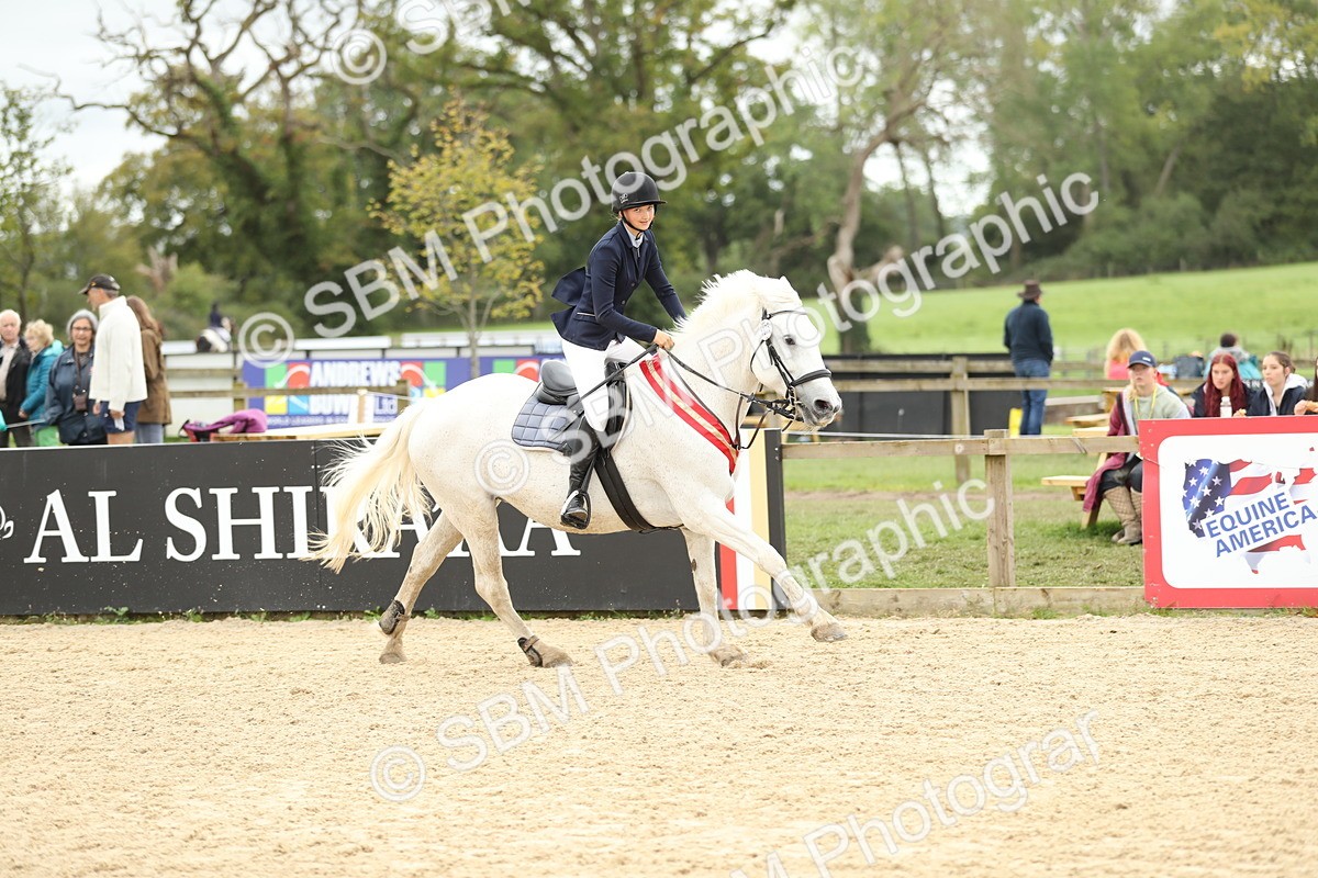 SBM_63203 - Supreme championship 75cm 80cm