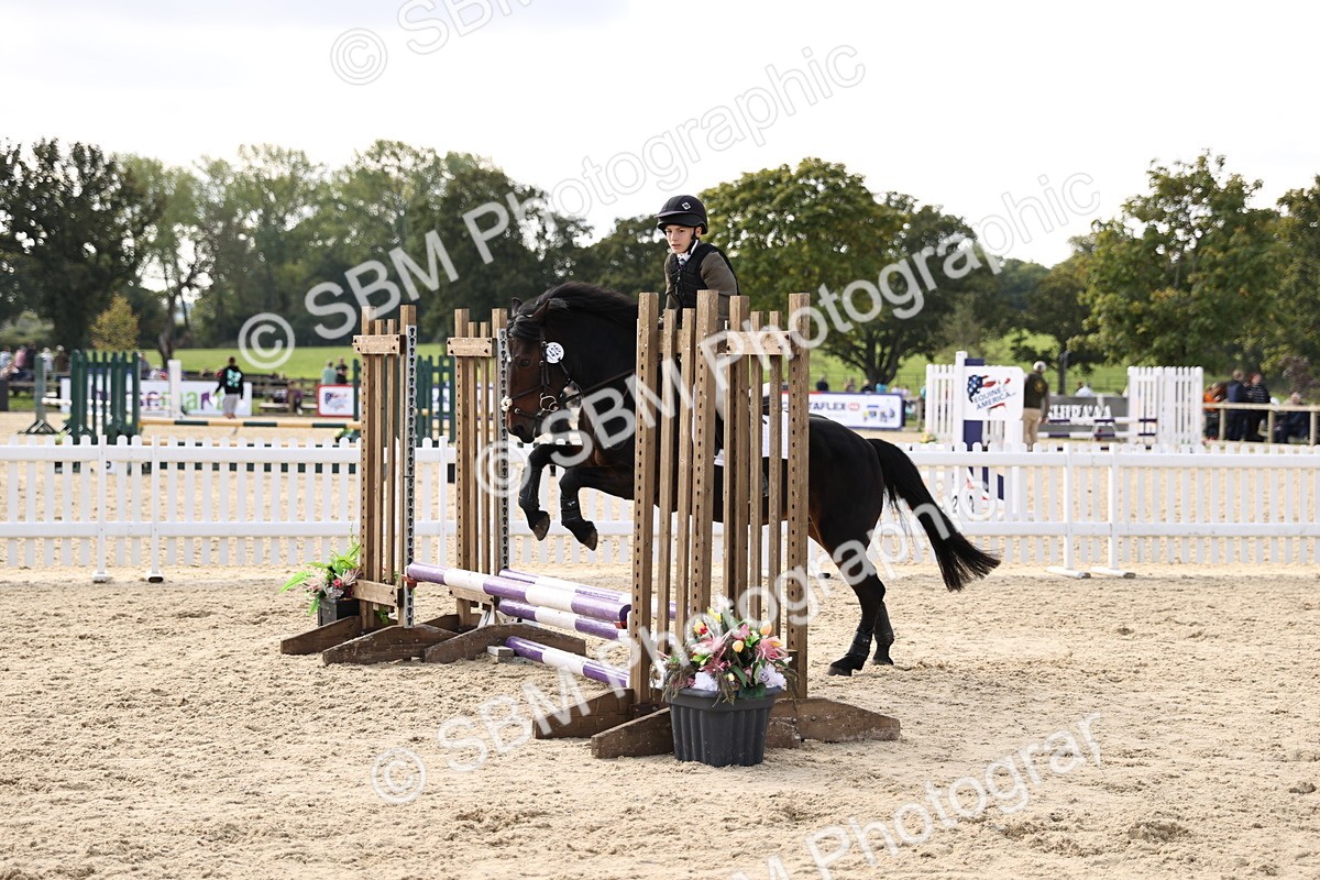 SBM_62102 - J12 - Junior Pony 55cm Championship