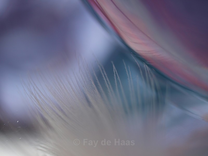  - Ethereal