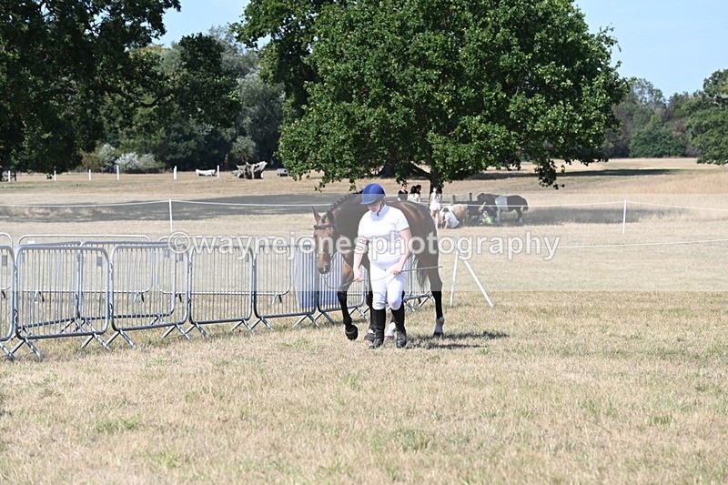 WJ6_9450 - Class 40 Cheekiest Pony/Horse