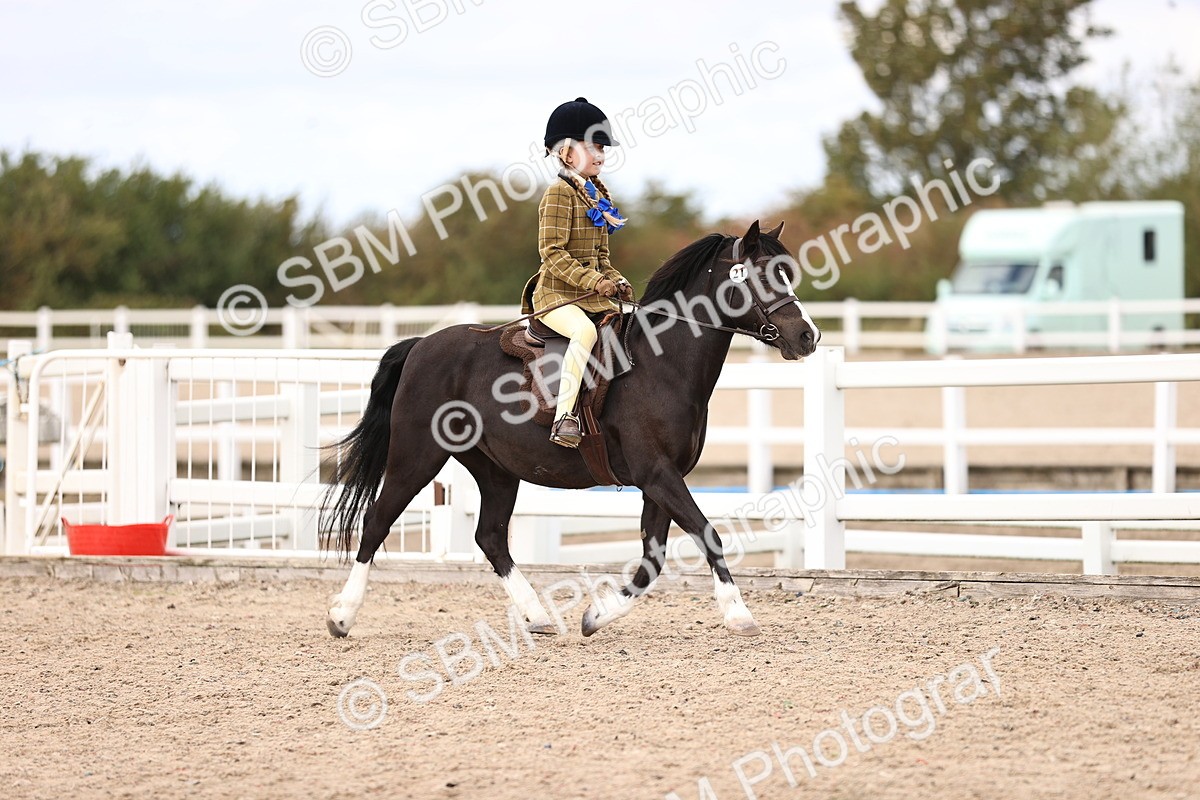 SBM_15940 - Class 416 - Prettiest Mare (IH or Ridden) Jnr