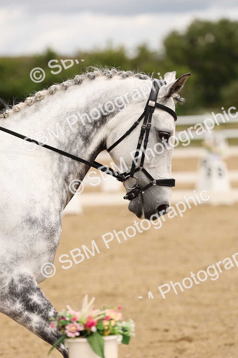 SBM_002574 - Class 6a - Novice 5 - 11.53-14.27