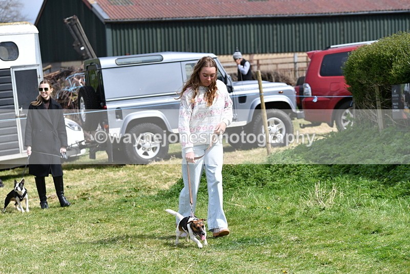 WJ5_0429 - Class 7 Best Terrier