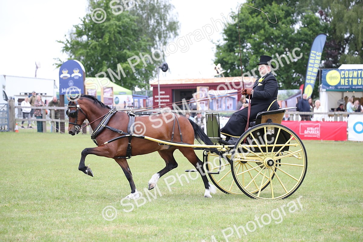 SBM_05754 - Class 12-15 - HOYS Private Driving