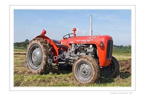 - Massey Ferguson