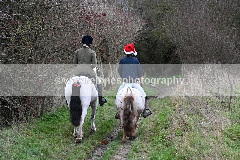 WJ7_0880 - First Seen