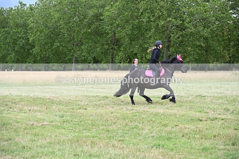 WJ6_3165 - Time at Jump 11:06 to 11:40