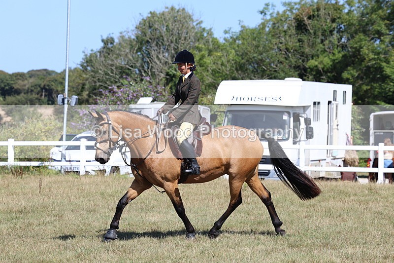 3E7A6268 - Class 6: Working Hunter 1m