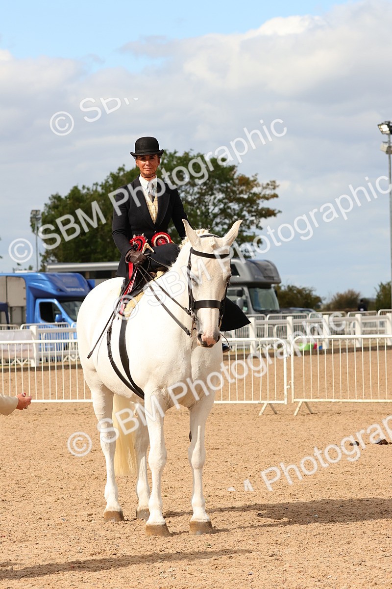 SBM_15915 - Class 216 - Best Side Saddle Horse-Pony