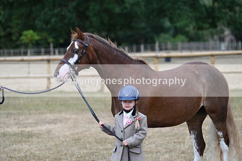 WJ7_9406 - Prettiest Mare Champs