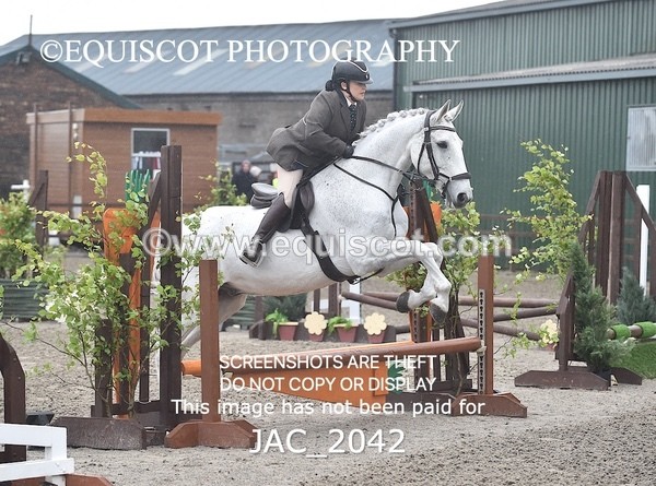JAC_2042 - CLASS 1 Nursery Novice Working Hunter