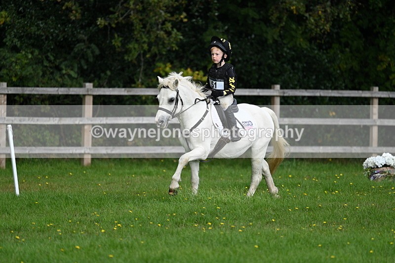 WJ7_3851 - 40cm Time 10:26 to 10:42