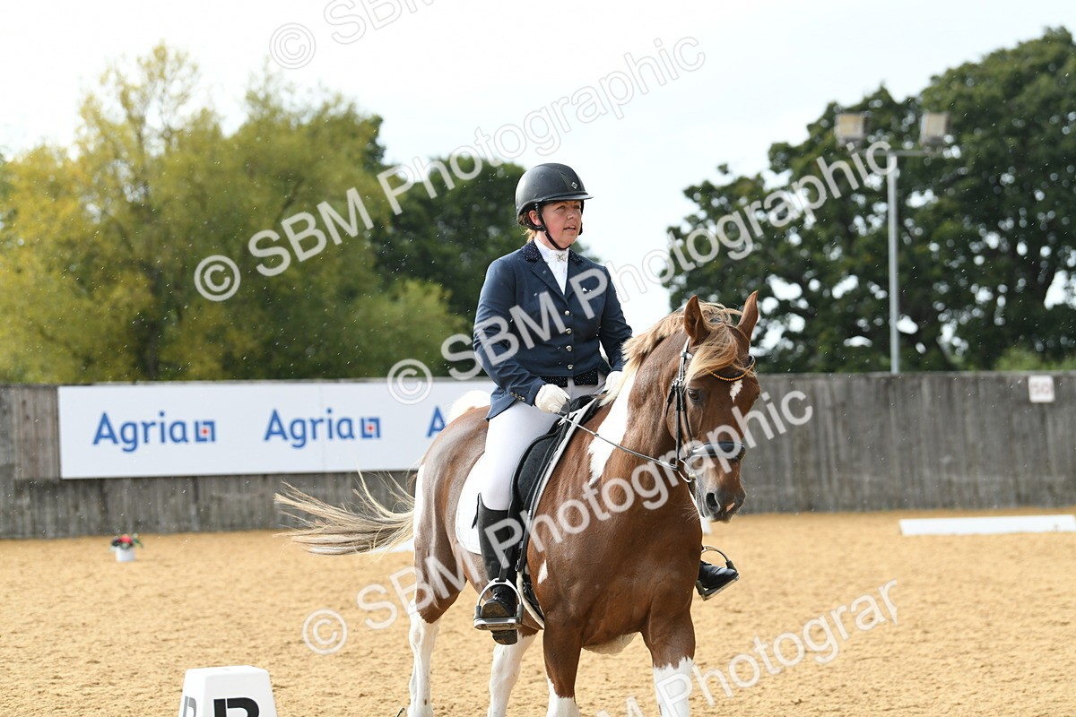 SBM_11085 - D28 Elementary Taster Elementary 42