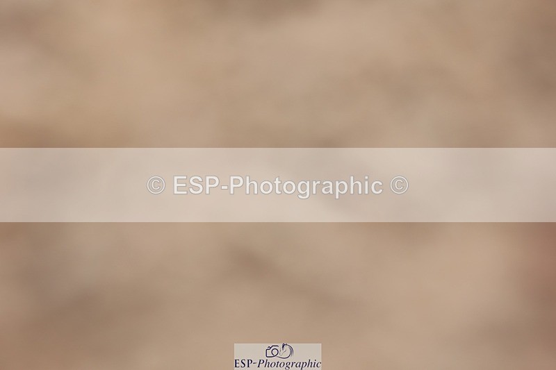 250620-121432-00864 - BD Cls 15 - Freestyle Adv Medium