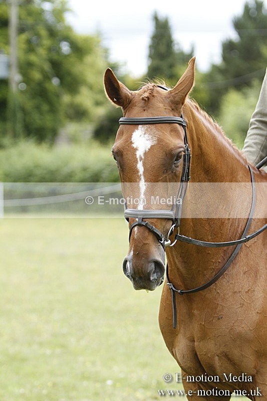 BVR160717-2252 - Ring 3 BVRC Show 16/07/17