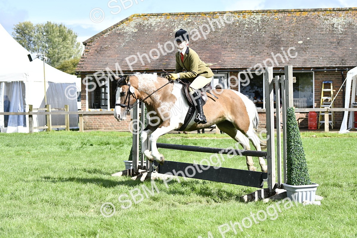 SBM_45680 - S33 - Working Hunter Pony