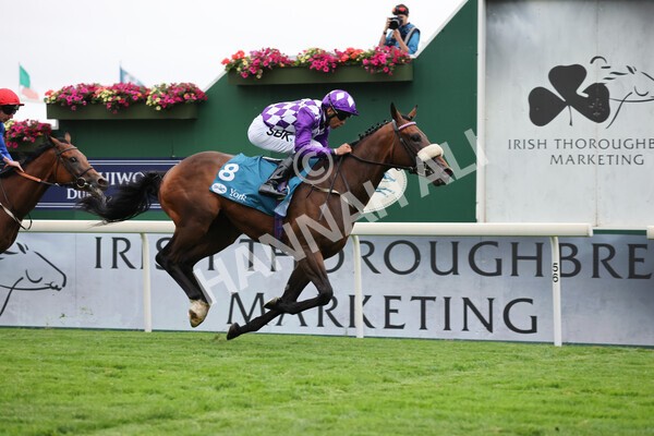 yr22072022r4-33 - Race 4 6.50pm The IRE Incentive It Pays To Buy Irish EBF Restricted Novice Stakes