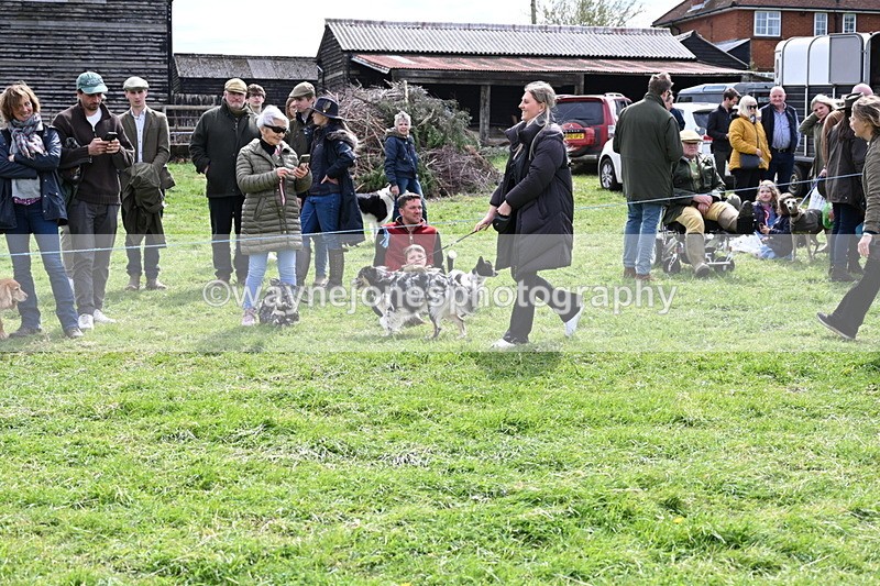 WJ6_8268 - Class 4 Prettiest Bitch