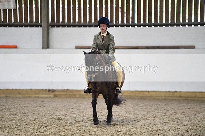 WJ5_6902 - Class 10 Childs Pony