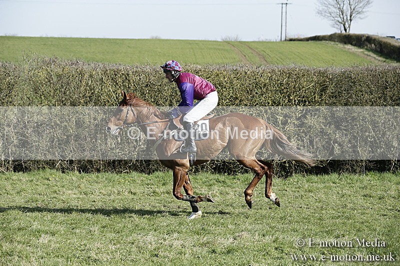 PtP 250317 175 - V.W.H. Hunt Point-to-Point Siddington 25/03/17