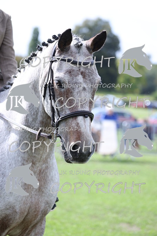 APP_3256 - Class 11 Veterans ridden