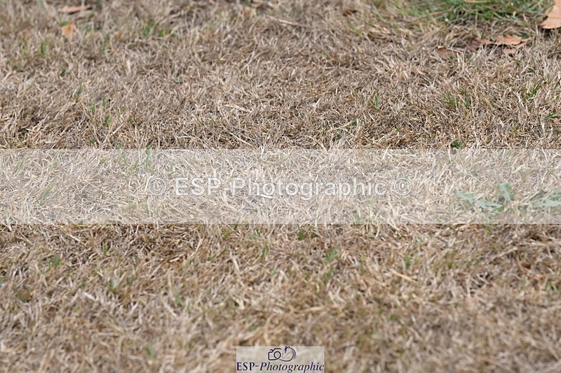 250820A-174154-12190 - Wednesday Presentations