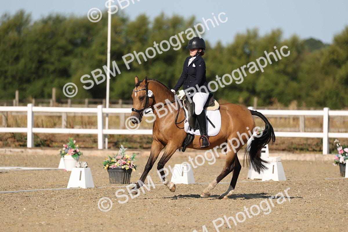 SBM_012624 - Class 1 - P5 Bronze 9.00.10.12