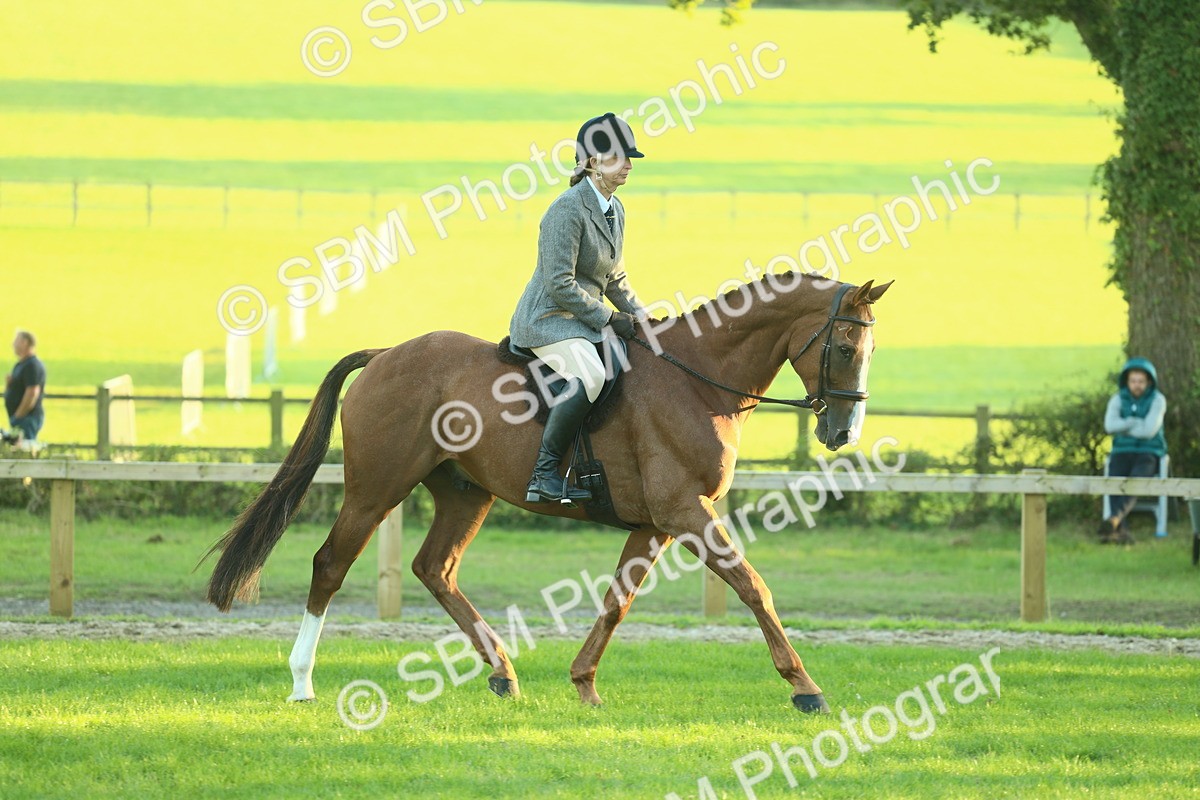 SBM_55653 - S14 - Riding Club Horse